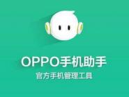 oppo手机助手连接不上手机如何解决方法[oppo手机助手连接不上手机如何解决问题]