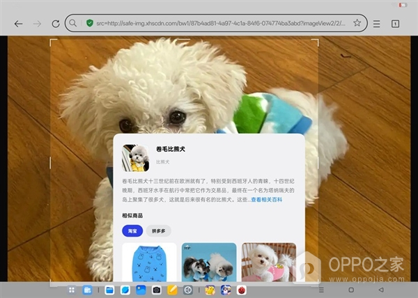 OPPO Pad3上手体验心得一览，相当不错的生产力工具，各方面都很强大