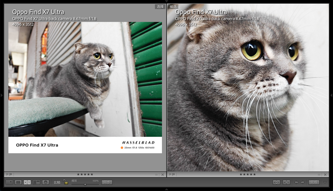 左：Find X7 Ultra主摄样张；右：主摄放大100%细节