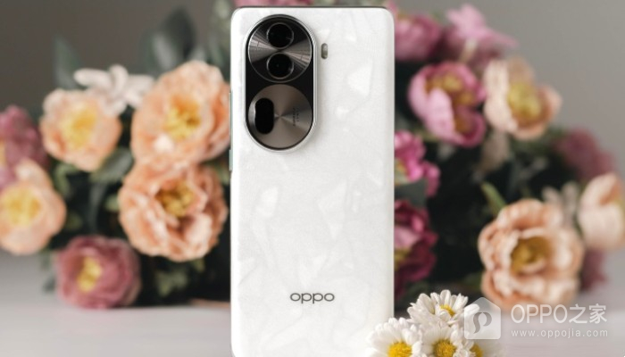 OPPO Reno 12标准版配置曝光！将搭载天玑8200处理器