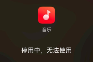 oppo手机app停用中是怎么回事