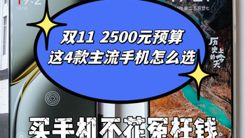 双11 2500元买手机怎么选——红米K70至尊版、一加Ace3 Pro、iQOO Neo9S Pro+、真我GT6，我是这么对比的